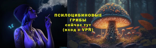 хмурый Алексеевка
