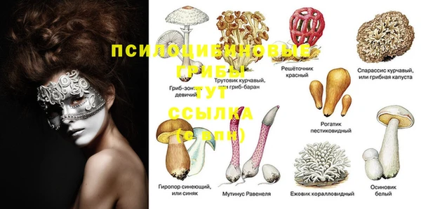 прущий лед Абаза