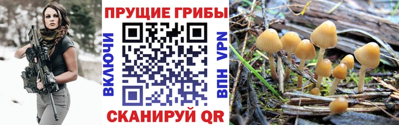 Псилоцибиновые грибы Magic Shrooms  Горбатов 
